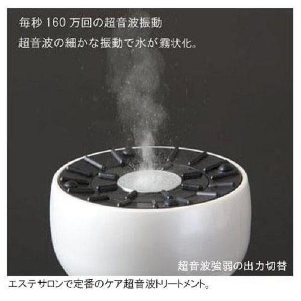 【新版】 セルブロックバンカーバスター(超音波 もみだし マッサージ 機器 脂肪 凹凸) 【V1655540403】(10372円)