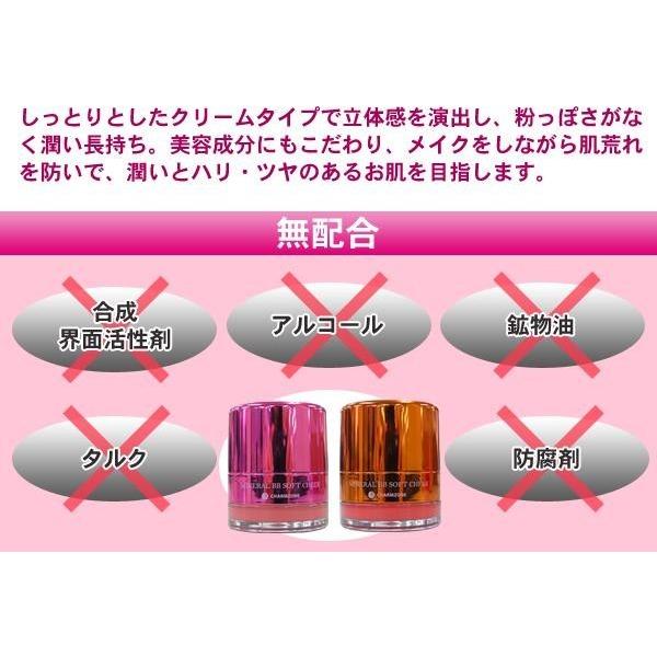 Charmzone チャームゾーン ナチュラルスキンエード ミネラルbbソフトチーク 韓国コスメ クリーム チーク メイク Cznmbsoftchek トライスクル 通販 Yahoo ショッピング