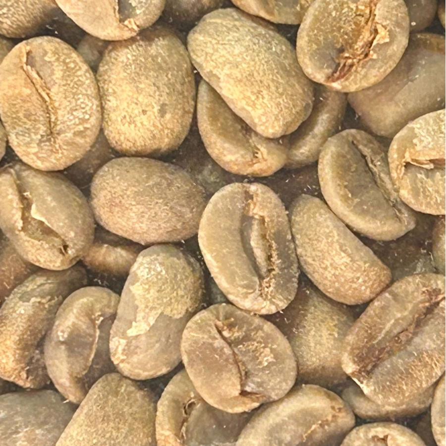 014151.com（おいしいコーヒードットコム） コーヒー生豆 ブラジル産