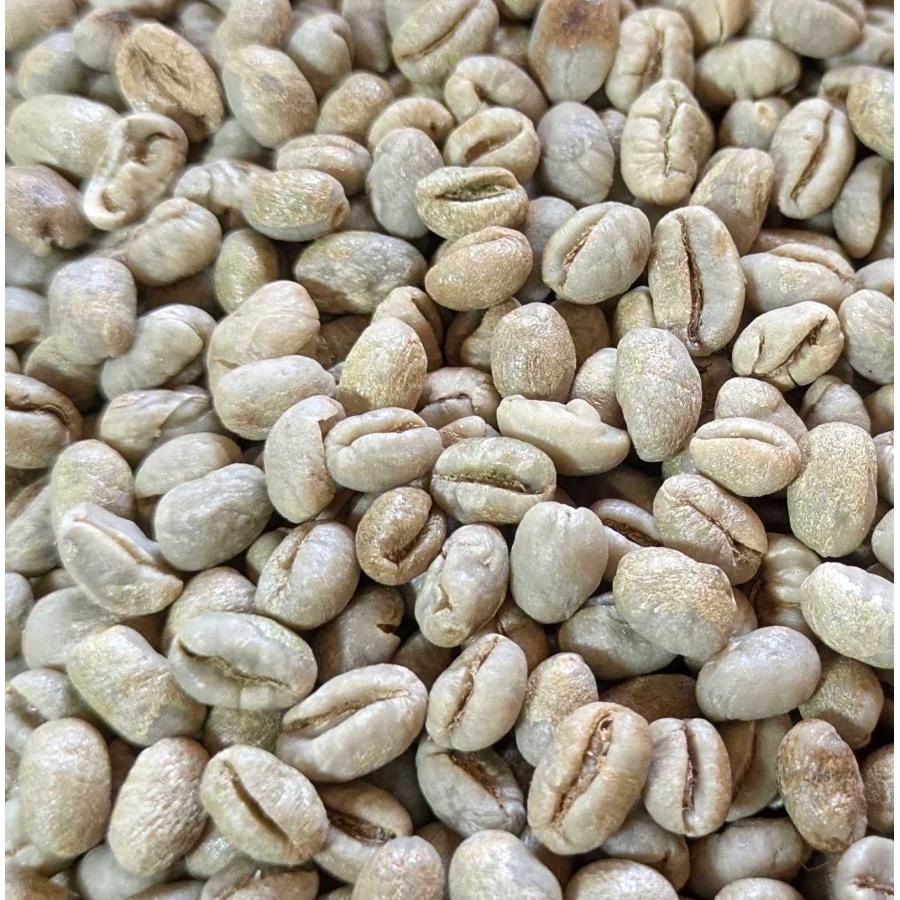 コーヒー生豆 ブラジル産 サントス ピーベリー 生豆 4536g 10lbs 4.5kg 014151.com 爆買_1