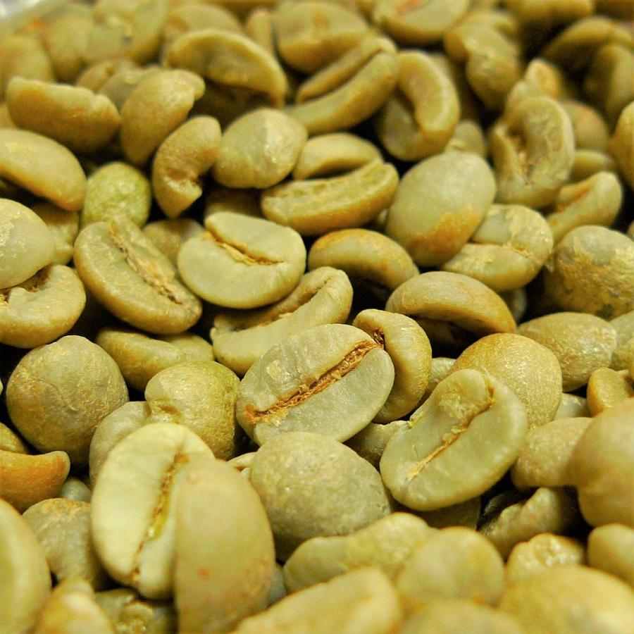 014151.com（おいしいコーヒードットコム） コーヒー生豆 ブラジル産