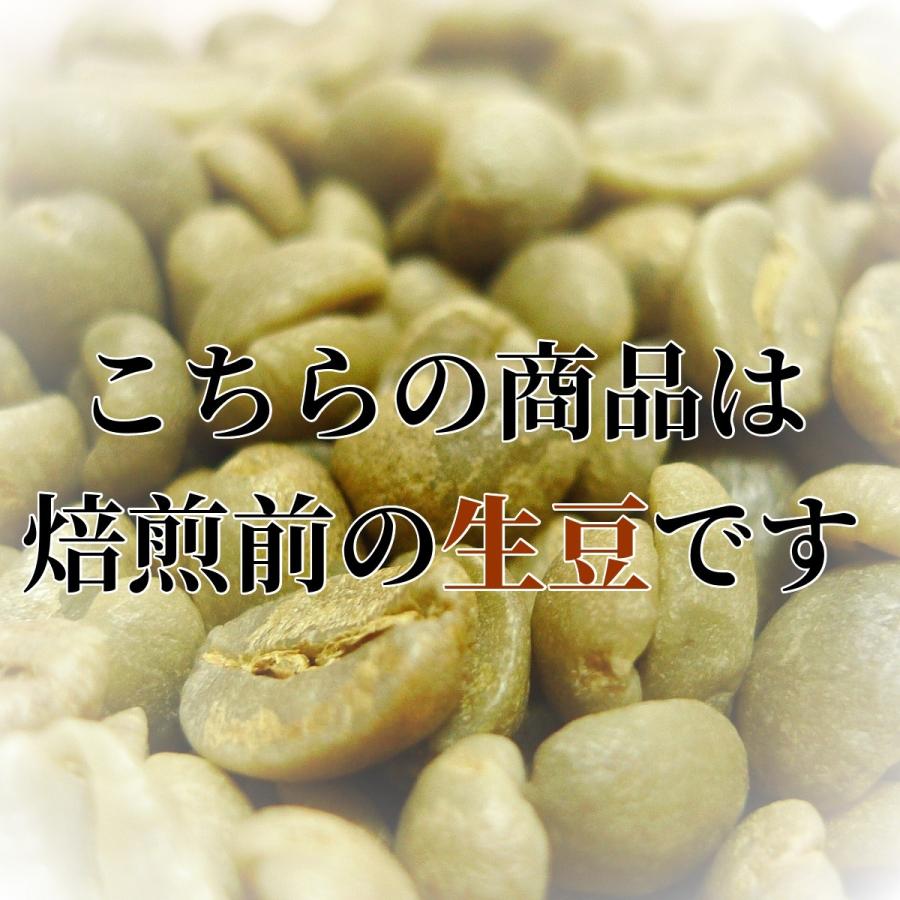 コーヒー豆 ブラジル産 サントス No.2 S17/18 未焙煎 生豆 2lbs 907g プレゼント ギフト｜trideacoltd｜03