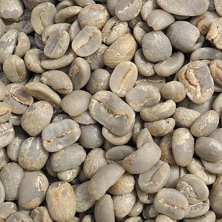 コーヒー豆 グアテマラ産 無農薬無化学肥料栽培 アティトラン 未焙煎 生豆 4536g (10lbs) 014151.com 爆買_1