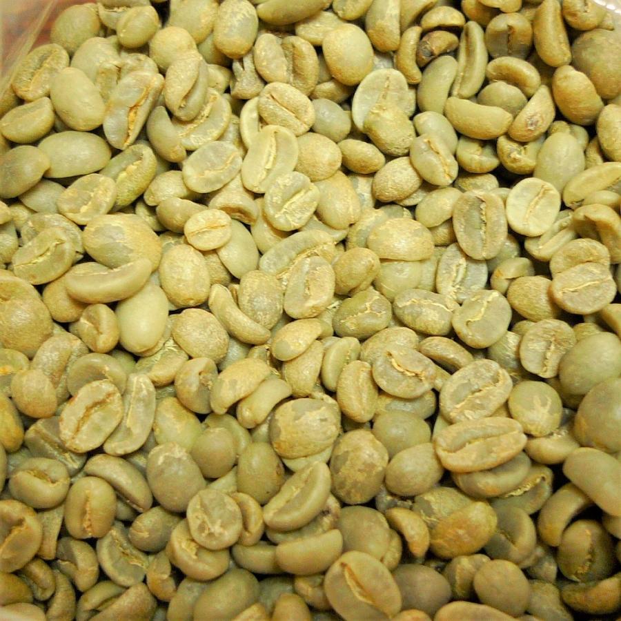 【コーヒー生豆】グアテマラ SHB 10kg ※送料無料！ 014151.com コーヒー豆 グアテマラ産 SHB 未焙煎 生豆 10kg