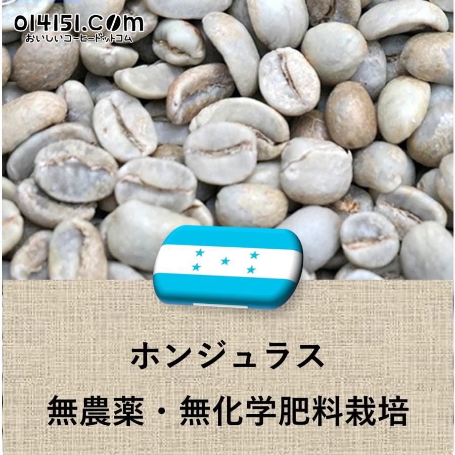 生豆 約10kg 送料無料】 コーヒー生豆 メキシコ オーガニック(有機栽培） 10kg【生