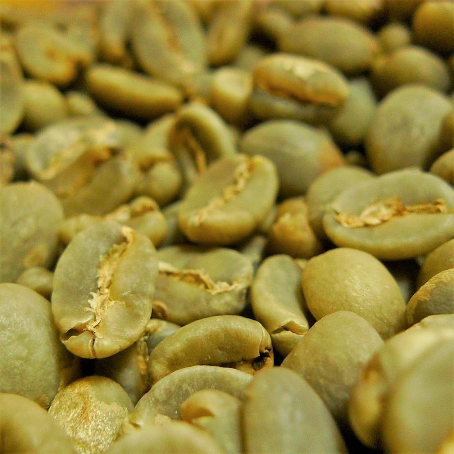 値下【新品】コーヒー豆（生豆）マンデリン コーヒー生豆 マンデリン G1 10kg(5kg×2) 【送料無料(一部地域を