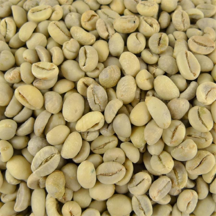 014151.com（おいしいコーヒードットコム） コーヒー生豆 インドネシア