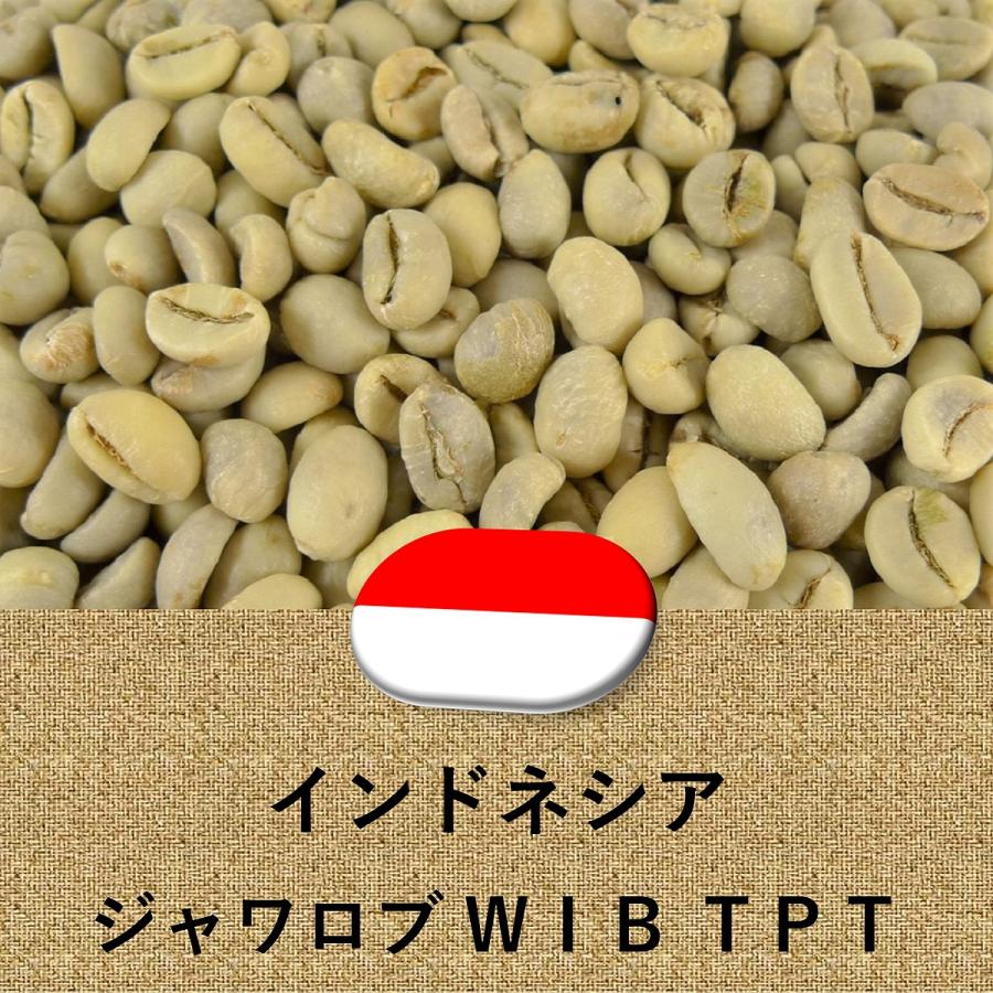 014151.com（おいしいコーヒードットコム） コーヒー生豆 インドネシア