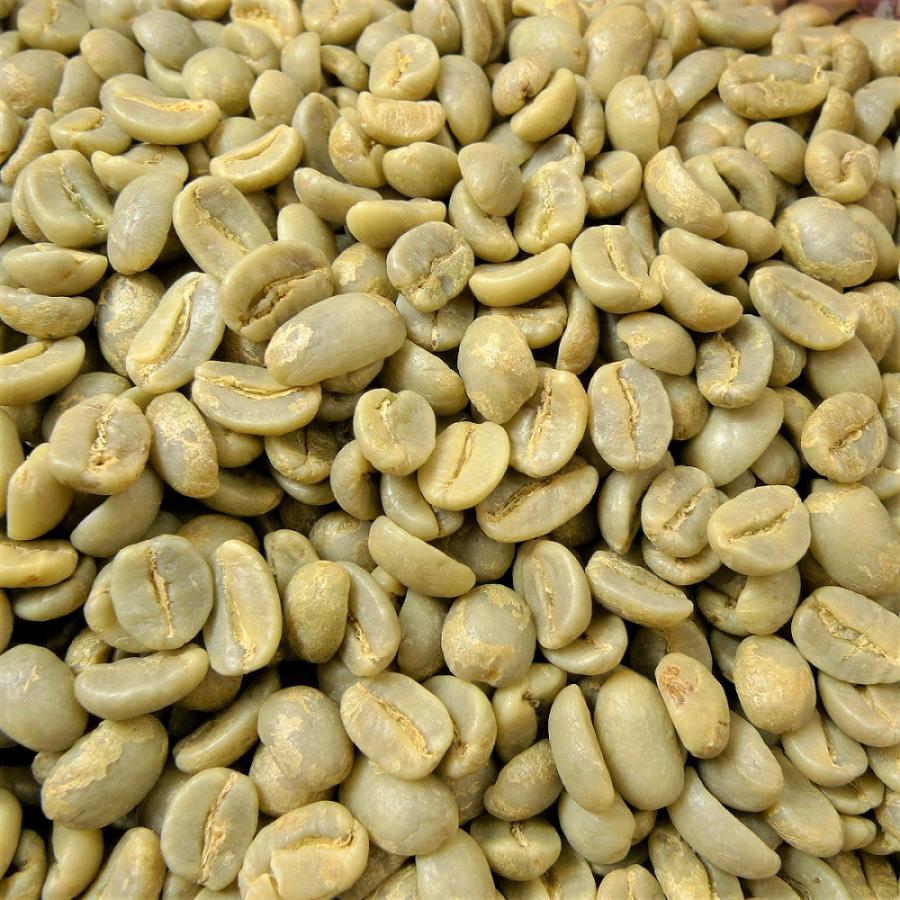 014151.com（おいしいコーヒードットコム） コーヒー生豆 ジャマイカ産