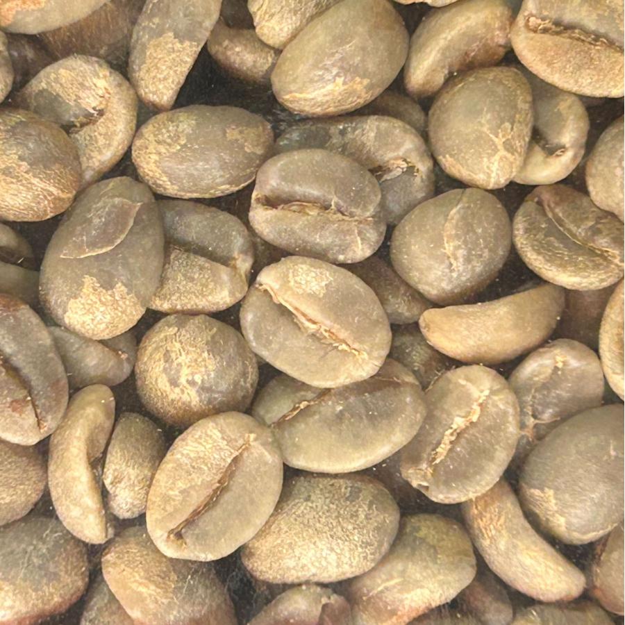 メキシコ SHG チアパス 有機栽培 Qグレード【コーヒー生豆】 2700g 014151.com（おいしいコーヒードットコム） コーヒー生豆 メキシコ産