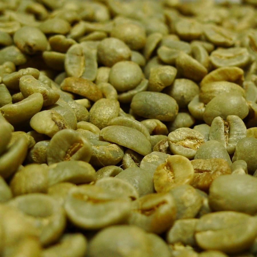 014151.com（おいしいコーヒードットコム） コーヒー豆 タンザニアAA