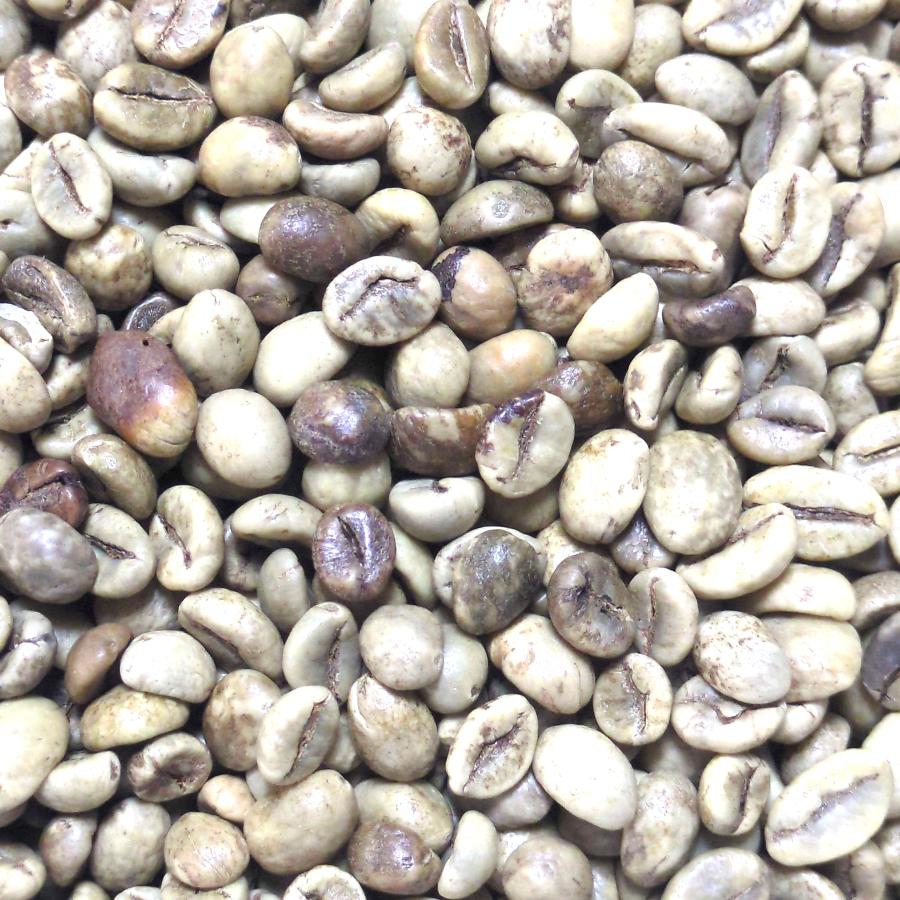 014151.com（おいしいコーヒードットコム） コーヒー生豆 ベトナム産