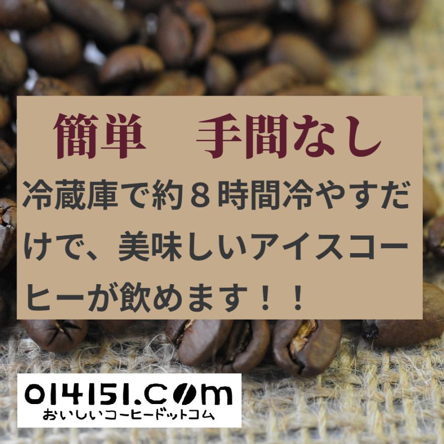 014151.com（おいしいコーヒードットコム） アイスコーヒー 水出し