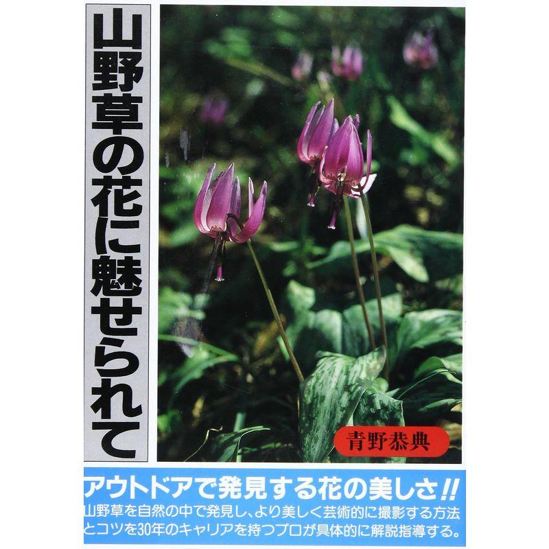 katieページ　「野に咲く草花」 野に咲く花は美しいです｜園芸日記by染ちゃん｜みんなの趣味の