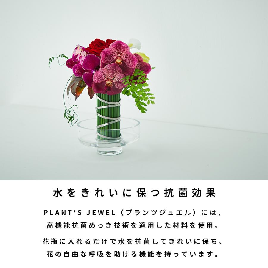 花器 プランツジュエル リング ギフト 花 おしゃれ フラワー ベース 女性 男性 誕生日 プレゼント 記念日 結婚祝い かわいい 花留め 花瓶 シルバー 送料無料 Pj Ring Trinus Store 通販 Yahoo ショッピング