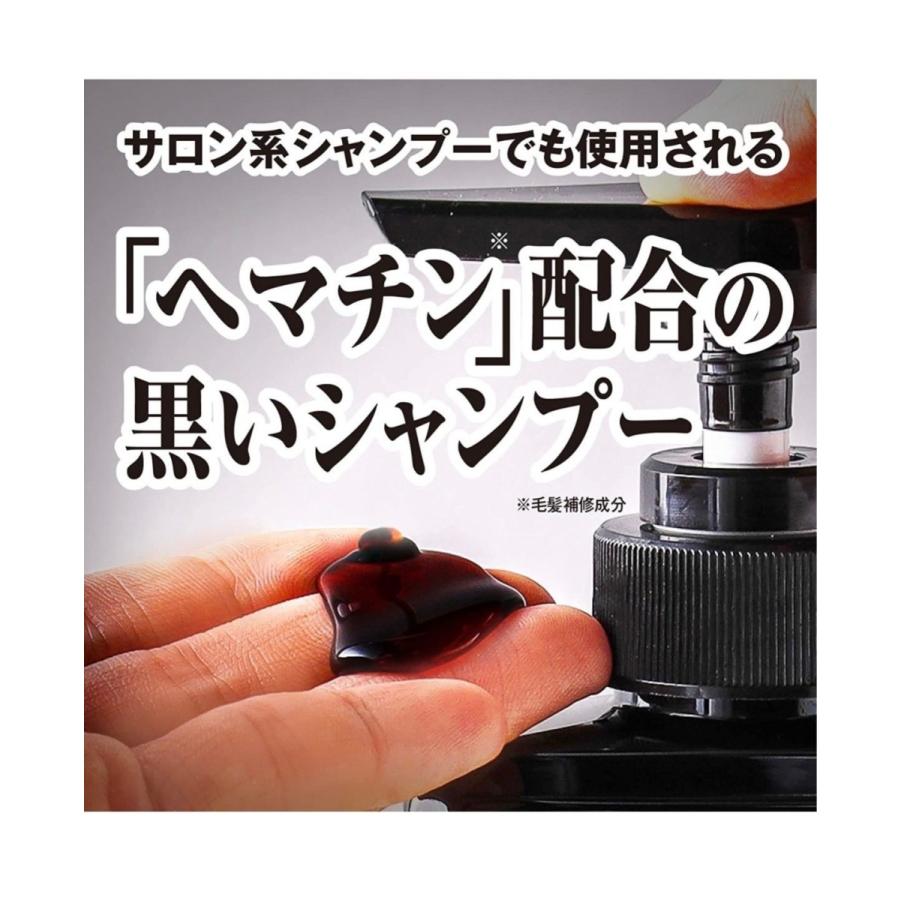 高額売筋】大正製薬 BLACK WOLF スカルプエッセンス供試品付 シャンプー コンディショナー ブラックウルフ 2個アソート リフレッシュ 企画品 シャンプー ブラックウルフ リフレッシュ シャンプー コンディショナー スカルプエッセンス