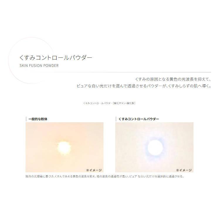 DECORTE 【国内正規品】コスメデコルテ ルース パウダー DECORTE 【国内正規品】コスメデコルテ ルース パウダー