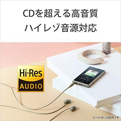ソニー ウォークマン 16GB Aシリーズ NW-A105 GM アッシュ ソニー ウォークマン 16GB Aシリーズ NW-A105 GM アッシュ