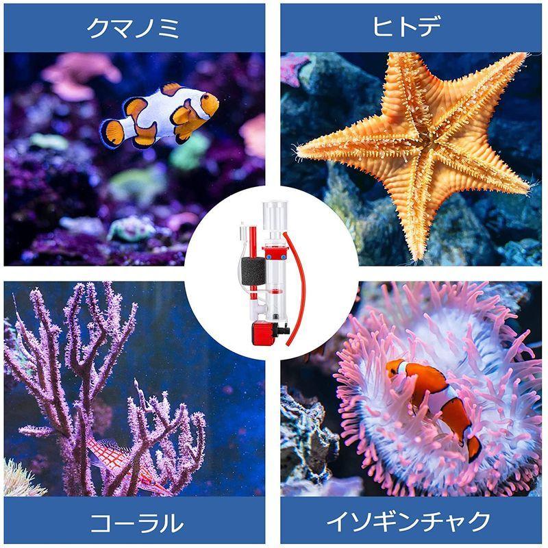 人気新品 ポンプ付き ミニスキマーミニフィルター 水槽用フィルター 海水魚 水槽スキマー 汚水を引き出しパイプ付き プロテインスキマー Poafamx フィルター ポンプ ろ材 Www Becoming Family Com