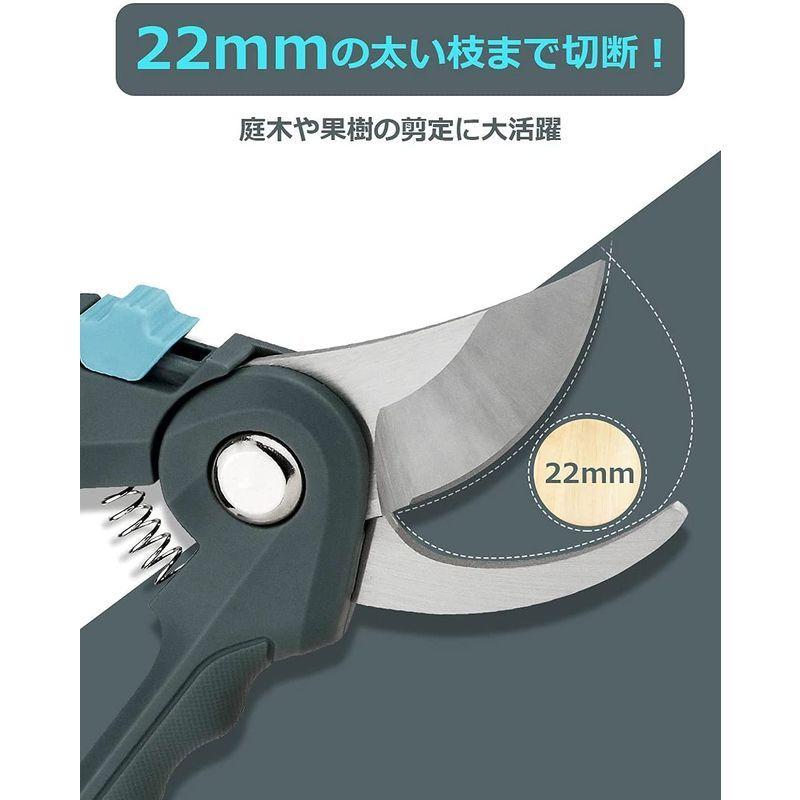 Anesty 剪定ばさみ 園芸用はさみ 切れ味良い フィットした持ち手 ロック機能 安全安心 家庭菜園の収穫 観葉植物の剪定 庭園作業 切断 トリプルk 通販 Yahoo ショッピング