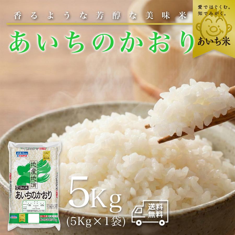あいちのかおり おこめ 米 お米 5kg 令和7年産 パールライス 白米 5