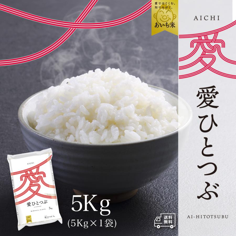 新米 おこめ 米 お米 5kg パールライス あいち米 愛ひとつぶ 新米 おこめ 米 お米 5kg パールライス あいち米 愛ひとつぶ