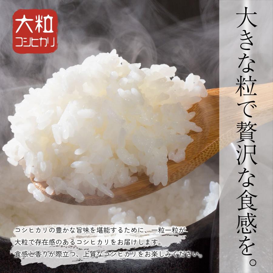 米 お米 おこめ 10kg 5kg×2袋 コシヒカリ 白米 10キロ 令和5年産 送料無料 岐阜県産 こしひかり 産直 精米｜triplestar2022｜04