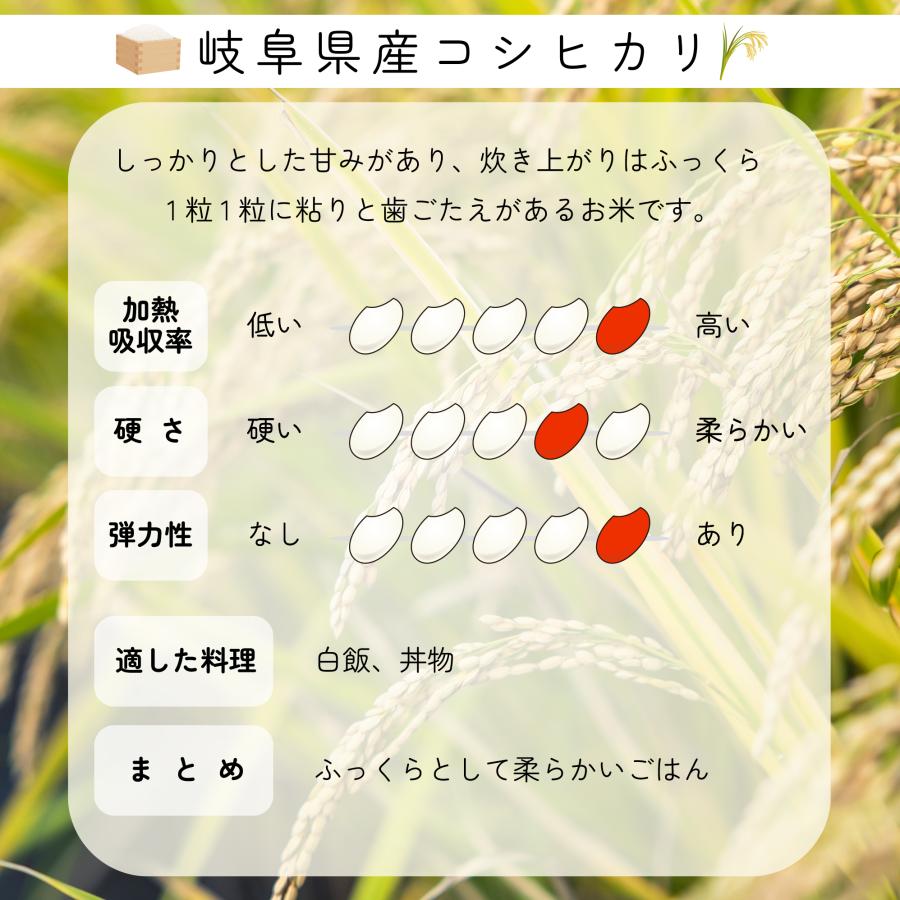 コシヒカリ 令和6年産 米 お米 おこめ 5kg 5kg×1袋 白米 5キロ コシヒカリ 令和6年産 米 お米 おこめ 5kg 5kg×1袋 白米 5キロ