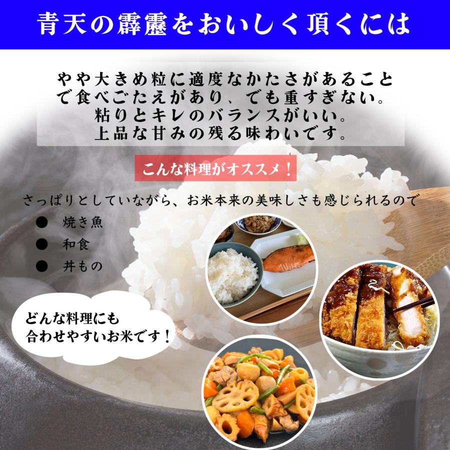 米 お米 8kg 青森県産 青天の霹靂 白米 8キロ 令和6年産 送料無料