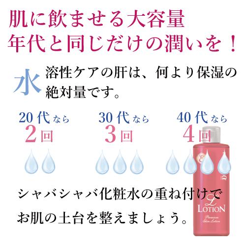 エポラーシェ エルローション 300mL サロン販売 化粧水 アーチチョーク葉エキス 毛穴ケア エイジングケア 1028 |  | 09
