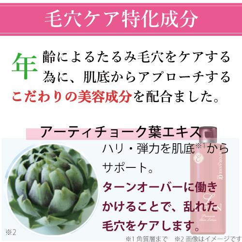 エポラーシェ エルローション 300mL サロン販売 化粧水 アーチチョーク葉エキス 毛穴ケア エイジングケア 1028 |  | 04