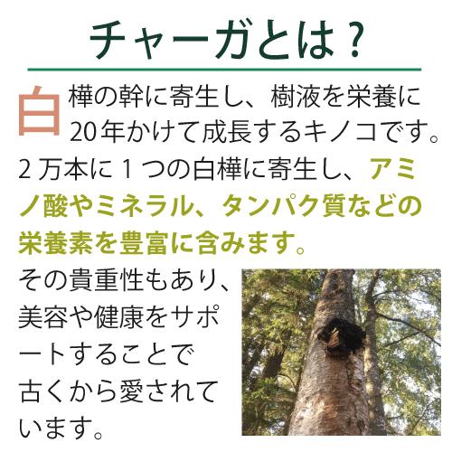 エポラーシェ デルミパウダー サプリメント 粉体 カバノアナタケエキス末 |  | 03