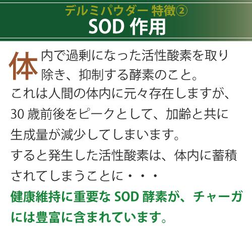 エポラーシェ デルミパウダー サプリメント 粉体 カバノアナタケエキス末 |  | 05