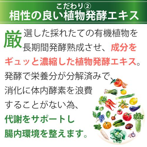 エポラーシェ デルリズム サプリメント 液体 ガラクトオリゴ糖 マルトビオン酸 アガロオリゴ糖 植物発酵エキス プレバイオティクス食品 1177 |  | 05
