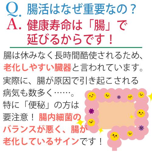エポラーシェ デルリズム サプリメント 液体 ガラクトオリゴ糖 マルトビオン酸 アガロオリゴ糖 植物発酵エキス プレバイオティクス食品 1177 |  | 06