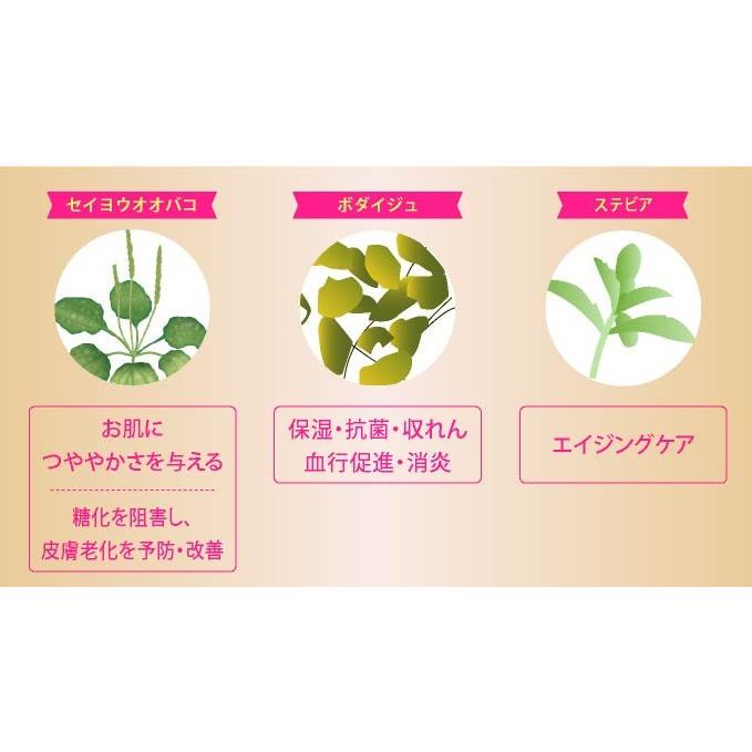 エポラーシェ スムースヴェールプレストファンデーション レフィル/ナチュラルオークル |  | 05