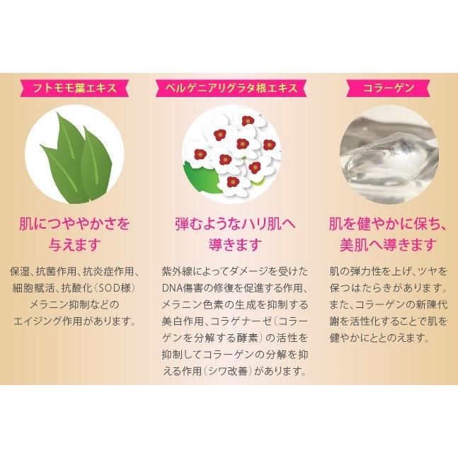 【15％OFF】【公式】エポラーシェ トランスルーセントパウダー 無添加 フェイスパウダー |  | 04