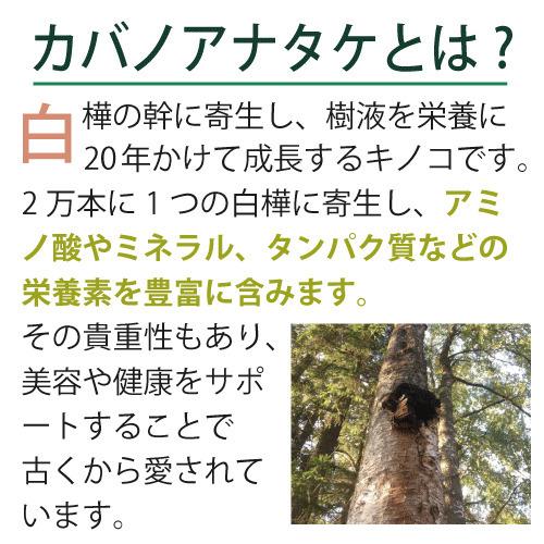 エポラーシェ デルミライト 2個セット カバノアナタケ100％ サプリ 高濃度抽出エキス |  | 02