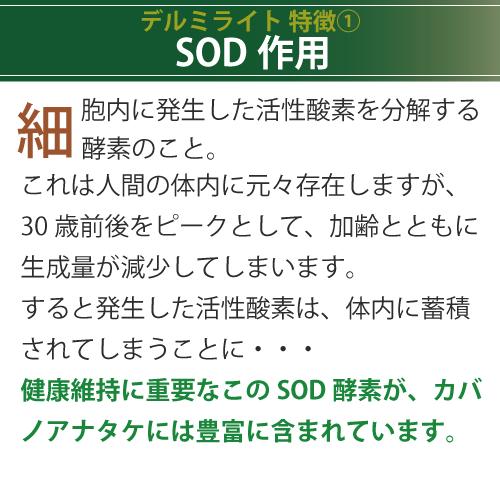 エポラーシェ デルミライト 2個セット カバノアナタケ100％ サプリ 高濃度抽出エキス |  | 03