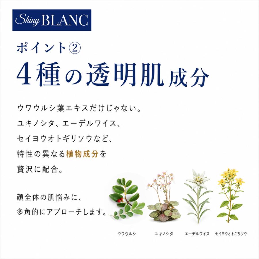 【公式】エポラーシェ シャイニーブラン 美容液 ウワウルシ葉エキス 30ml 546 |  | 06