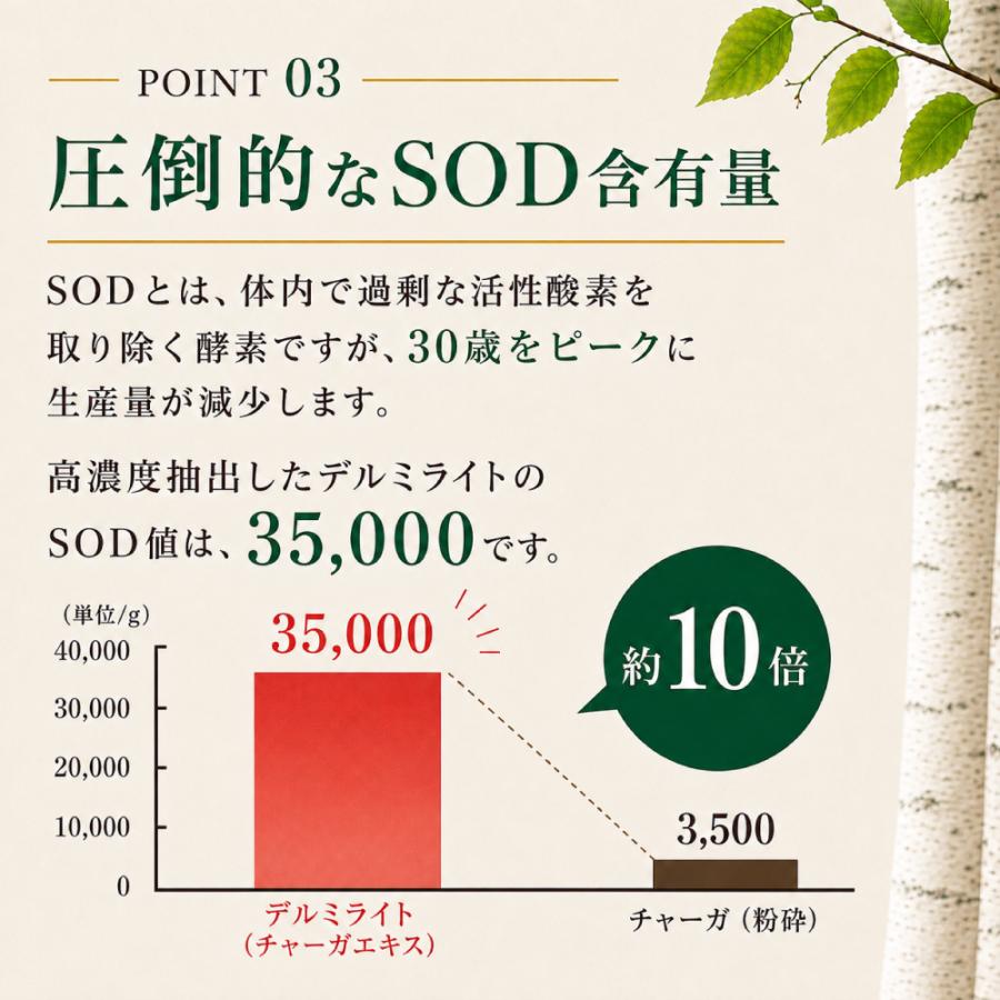 【公式】エポラーシェ デルミライト カバノアナタケ100％ サプリ 高濃度抽出エキス |  | 09