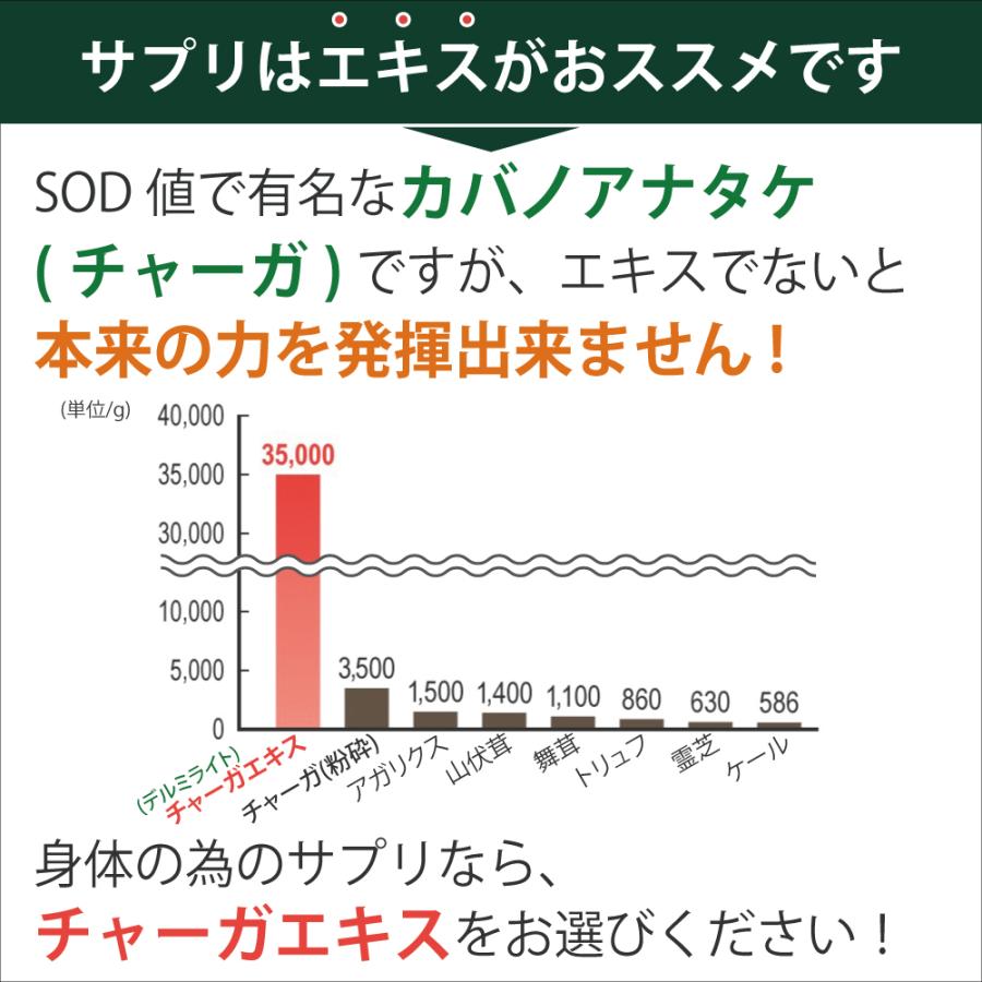 【公式】エポラーシェ デルミライト カバノアナタケ100％ サプリ 高濃度抽出エキス |  | 05