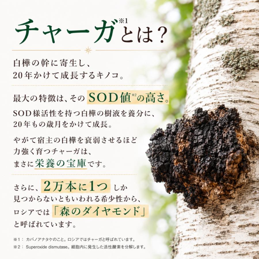【公式】エポラーシェ デルミライト カバノアナタケ100％ サプリ 高濃度抽出エキス |  | 04