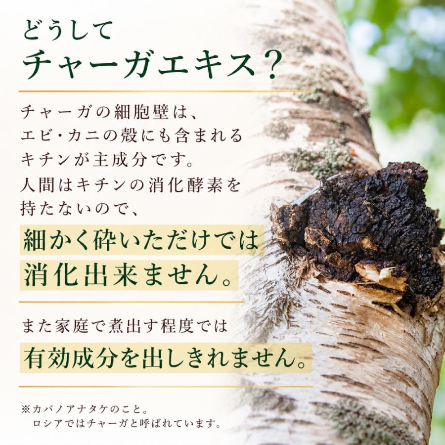 【公式】エポラーシェ デルミライト カバノアナタケ100％ サプリ 高濃度抽出エキス |  | 05