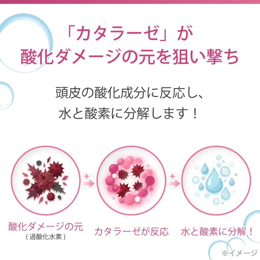 エポラーシェ スカルプガードEX 洗い流し専用 クレンジングスプレー 無添加 カタラーゼ 頭皮 |  | 06