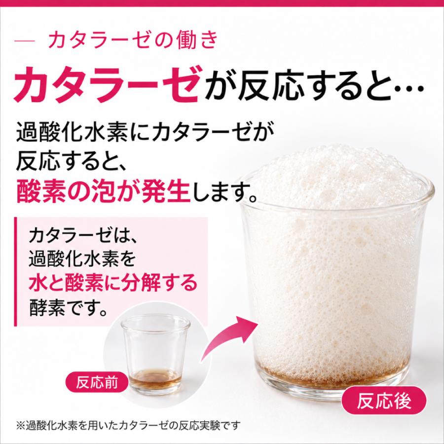 エポラーシェ スカルプガードEX 洗い流し専用 クレンジングスプレー 無添加 カタラーゼ 頭皮 |  | 06