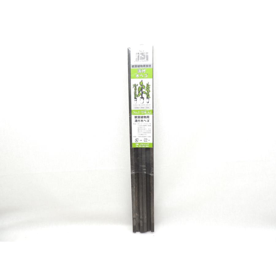 バレンシア 観葉植物用 溝付木ヘゴ 支柱 No1 26×420mm 2本パック バレンシア 観葉植物用 溝付木ヘゴ 支柱 No1 26×420mm 2本パック