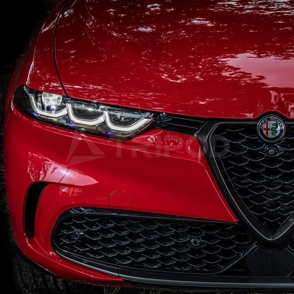 アルファロメオ ALC-01 ステルヴィオ/トナーレ オートライト