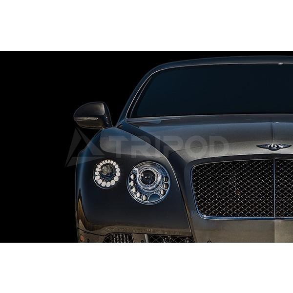 高評価なギフト 全国送料無料 ベントレー プレートライセンス ナンバー