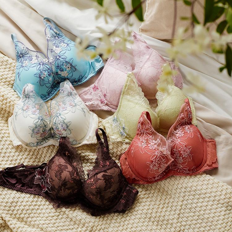 Gynanisa maja ♂♀ペアセット Gynanisa maja ♂♀ペアセット Gynanisa